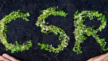Corporate Social Responsibility Thumbnail Optimised